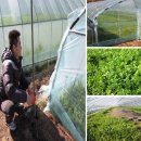 이종덕농장 이미지