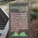 진안읍 1380 이미지