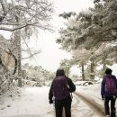 제주올레17코스( 광령~신천지마당)무수천숲길 이미지