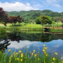 5월 안성 아난티 중앙cc 골프클럽 ∴ 옛 회사 동료와 즐거운 라운딩 후기