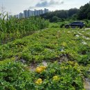 화영농장 이미지