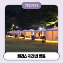 캠핑 앨리스 | 양평 펜션) 고양이 천국! 캠핑앨리스 후기(컬리 양갈비/쿠팡 불멍가루)