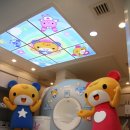 로로동물병원 이미지