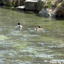 추억의껍데기 이미지