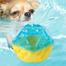 쿨한 강아지 이미지