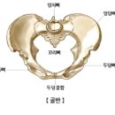 국선도(단전호흡)C | 국선도 수련생의 고백, "단전은 위치가 아니라 에너지가 머무는 방입니다"