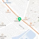 강아지분양미니몽