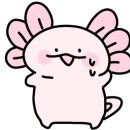 스코시
