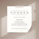 붓펜 캘리그라피 이미지