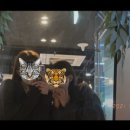 꼬타루 이미지