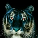 영천제일주유소 이미지