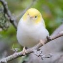 서부도서관 동편 이미지