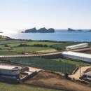 스테이 사이 이미지