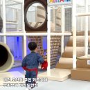 트루짐 | 대전 도안동 키즈카페 무키무키 대전도안점 깔끔한 무인키즈룸 대관 후기
