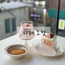 건대입구역 카페 오캄 귀여운 고양이와 인생 딸기케이크가 있는 곳