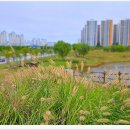 배곧생명공원 이미지