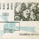 곡성중앙초등학교 이미지