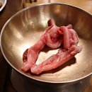 유정장어 이미지