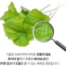 이소 티스토리