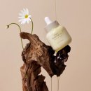 비바코리아 이미지