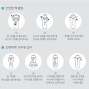 드리밍스타 이미지