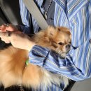 수원병원 2층 검진센타 이미지