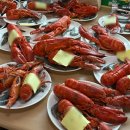 가평빠지추천, 비버네선착장 올인원 바베큐 패키지 및 수상레저 분위기 솔직 후기(BBQ 꿀팁)