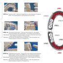 셀렉트디 이미지