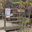 솔밭농장 | 계양역에서 계양산 정상까지 가는 법. 실제로 걸어본 확실한 코스 소개