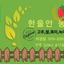 이경일농장 이미지