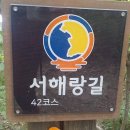 아름다울, 개 | 전북 고창 서해랑길 42코스 후기