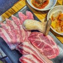 고밤도니 이미지