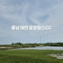 링스하우스 | 충남 태안 저렴한 그린피, 카트비 정보와 로얄링스cc 라운드 후기