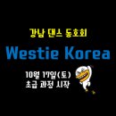 소셜댄스 이미지