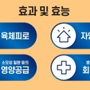 철원온누리약국 이미지