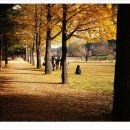 대광상사 이미지