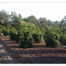 석전농장 이미지