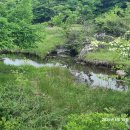 제주 나들이(2025.6.10) 이미지