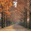 푸름농장2 이미지