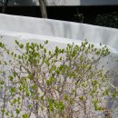 이미경미용실 이미지