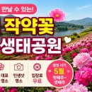 수려한합천버스주식회사 | 합천 작약축제 지금이 절정! 황강변 핫들생태공원 방문 전 꼭 확인하세요