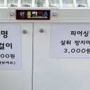 또또피어싱 이미지