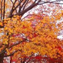 인산농장 이미지