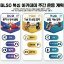 BLSO 복싱 아카데미 이미지