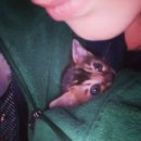 부산뱅갈하우스 이미지