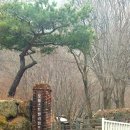 포레스트벨리캠프 | [남양주 포레스트벨리캠프]서울근교 뷰좋은 조용한 캠핑장 추천 C-2 사이트 후기 다이소 제품후기 내돈내산