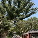 보경사 주차장2 화장실 이미지