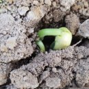 시인공간 이미지