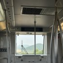 [용인] 에버랜드 장미축제 산리오 플라워 카니발 후기
