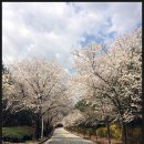 오학한의원 이미지